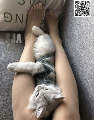 日韩国产片免费_BD全集在线观看